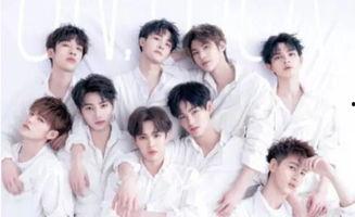 综艺吃瓜鹅unine,揭秘UNINE成员们的幕后故事