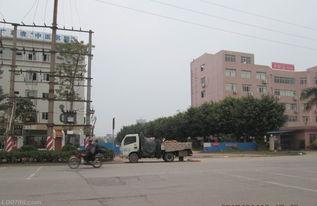 罗定莲塘新闻头条号,聚焦莲塘发展新动态，共话乡村振兴新篇章