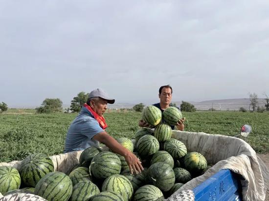 曹县吃瓜在线观看,揭秘网络热点的背后故事