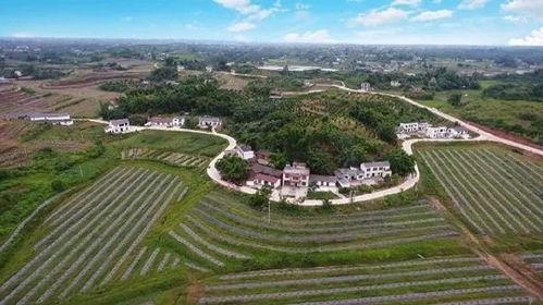 肥城五里沟新闻头条,真相揭秘，居民生活受影响