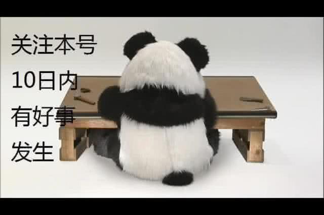 外媒爆料国足视频,国足备战内幕曝光，训练视频引发热议