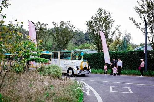 杭州网红户外,探寻城市绿意盎然的休闲秘境