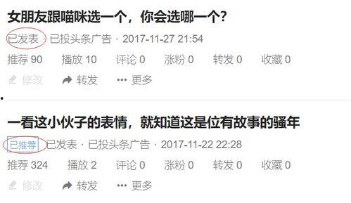 头条视频自己拍摄的,头条视频幕后制作，带你走进短视频创作世界