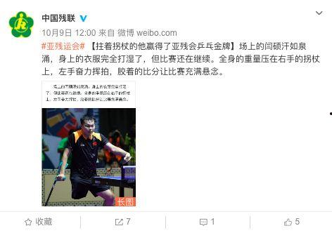 头条上的丁克族,现代生活新选择背后的社会思考