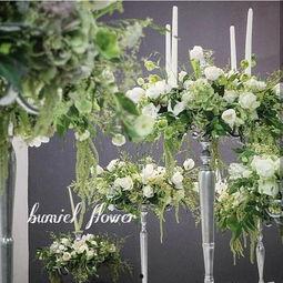 三花花网红,揭秘网络红人的魅力与影响力