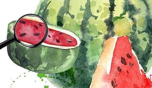 表演一个吃瓜,一场别开生面的“吃瓜”表演盛宴