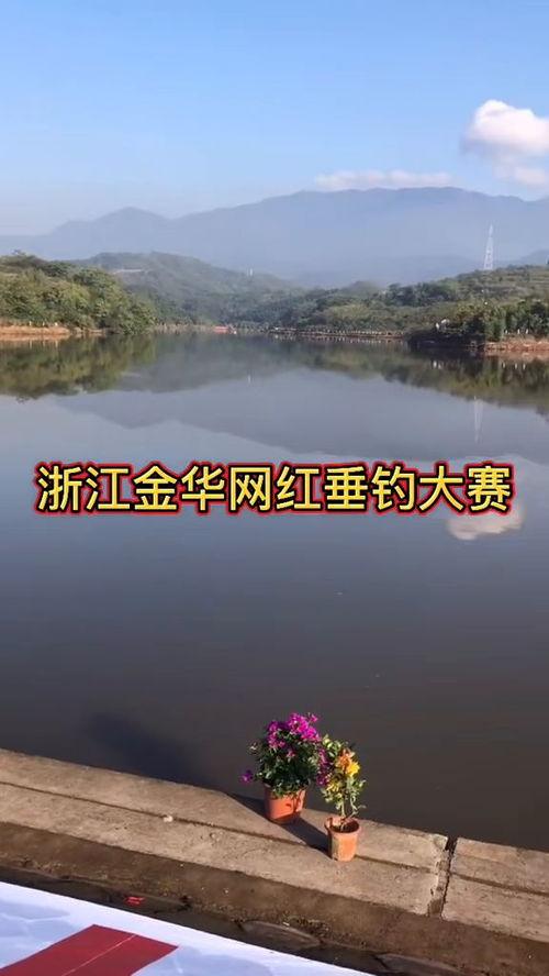 网红垂钓鱼大赛,网红大赛一网打尽！