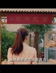 换个视角看网红和情感,情感视角下的多维审视