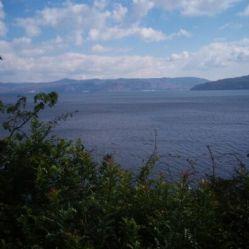 明星桔子园,果香四溢的明星田园之旅