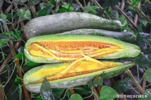 网红吃瓜出售信息,揭秘热门事件背后的秘密与商机