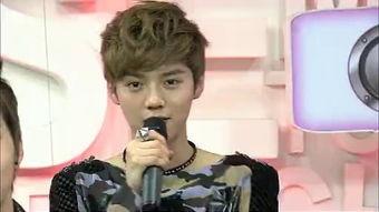 巴陵明星汇exo,璀璨星光下的青春盛宴