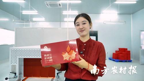 王什么宁明星,喜剧界的璀璨明星，笑点与智慧并存