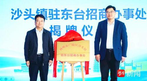 东台头条,聚焦热点，解码东台发展新篇章