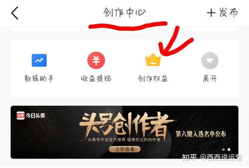 头条我的作品怎么分享,头条作品分享攻略，让你的作品火遍全网！