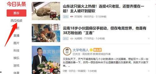 捷径如何下载头条音乐,头条音乐下载捷径全解析