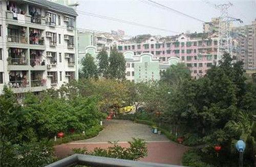 柳州白云小区今日头条,聚焦社区发展，共筑美好家园