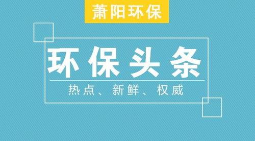 情感领域在头条的发展,洞察与趋势