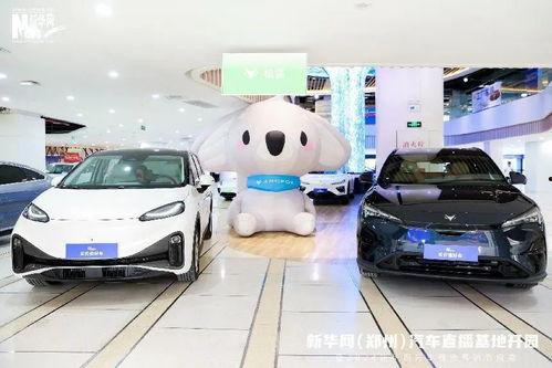 信阳网红小汽车直播基地,打造汽车直播新地标