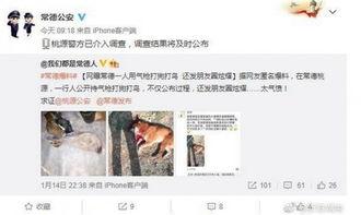 爆料桃源一中宿舍视频是真的吗