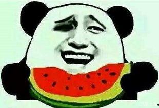 吃瓜群众小窝瓜,揭秘娱乐圈那些事儿