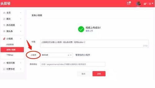 头条广告小程序如何打开,一键生成，高效投放