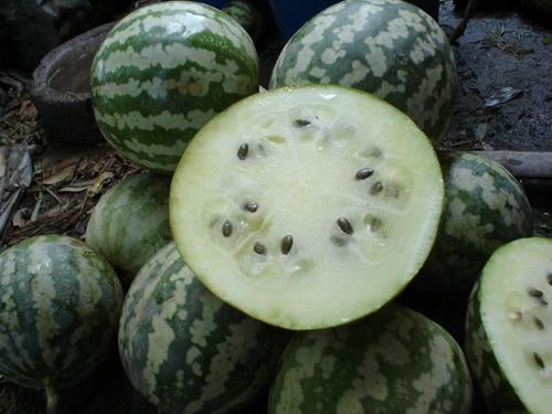 暗信秋山怎么吃瓜,揭秘娱乐圈的瓜田秘闻