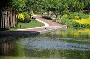 今日头条青岛李村河,生态修复与城市发展的和谐共生之路