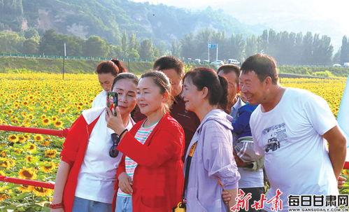 王村的网红,揭秘乡村新势力崛起之路