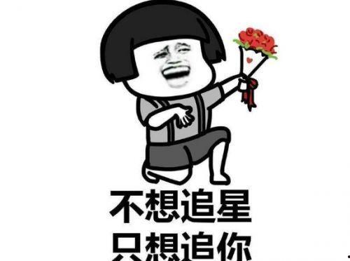 吃瓜走丢,一场意外的冒险之旅