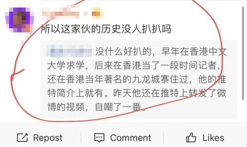 日本爆料议员是谁啊视频,视频曝光背后的真相