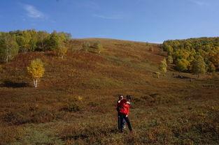 承德大滩镇今日头条,探寻自然之美，体验民俗风情
